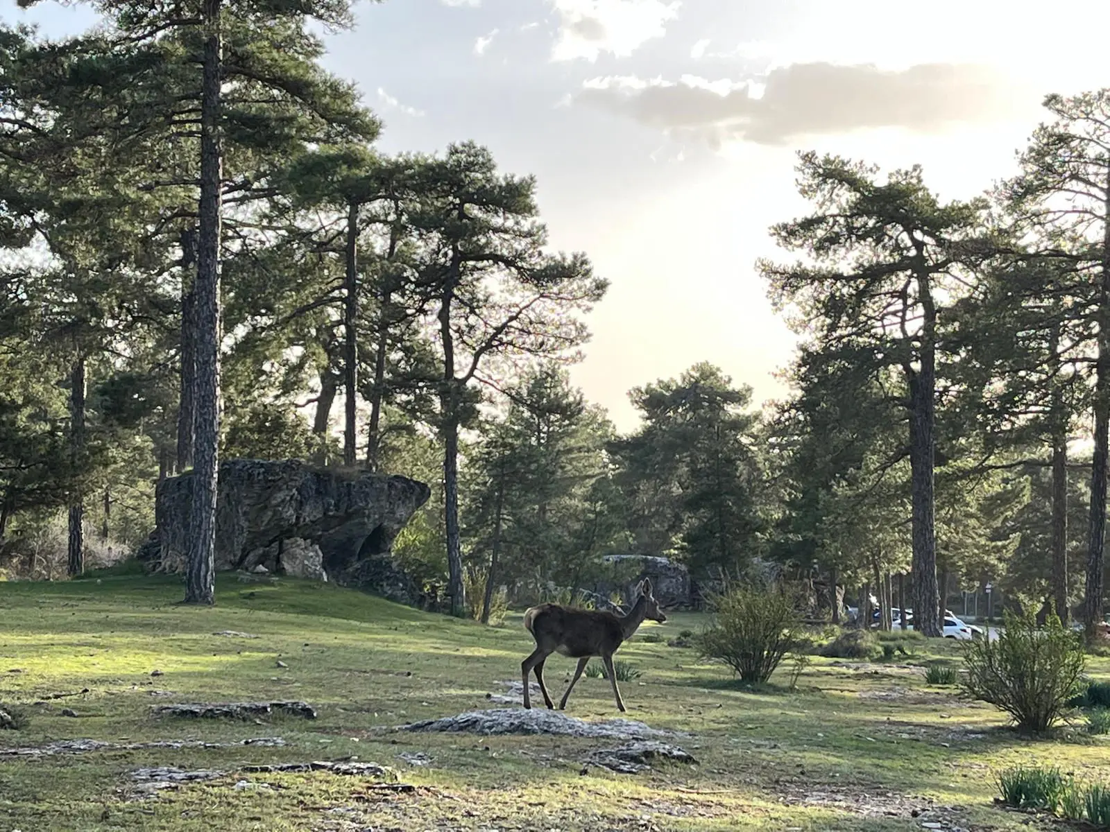 Hostal ciudad encantada - Cuenca