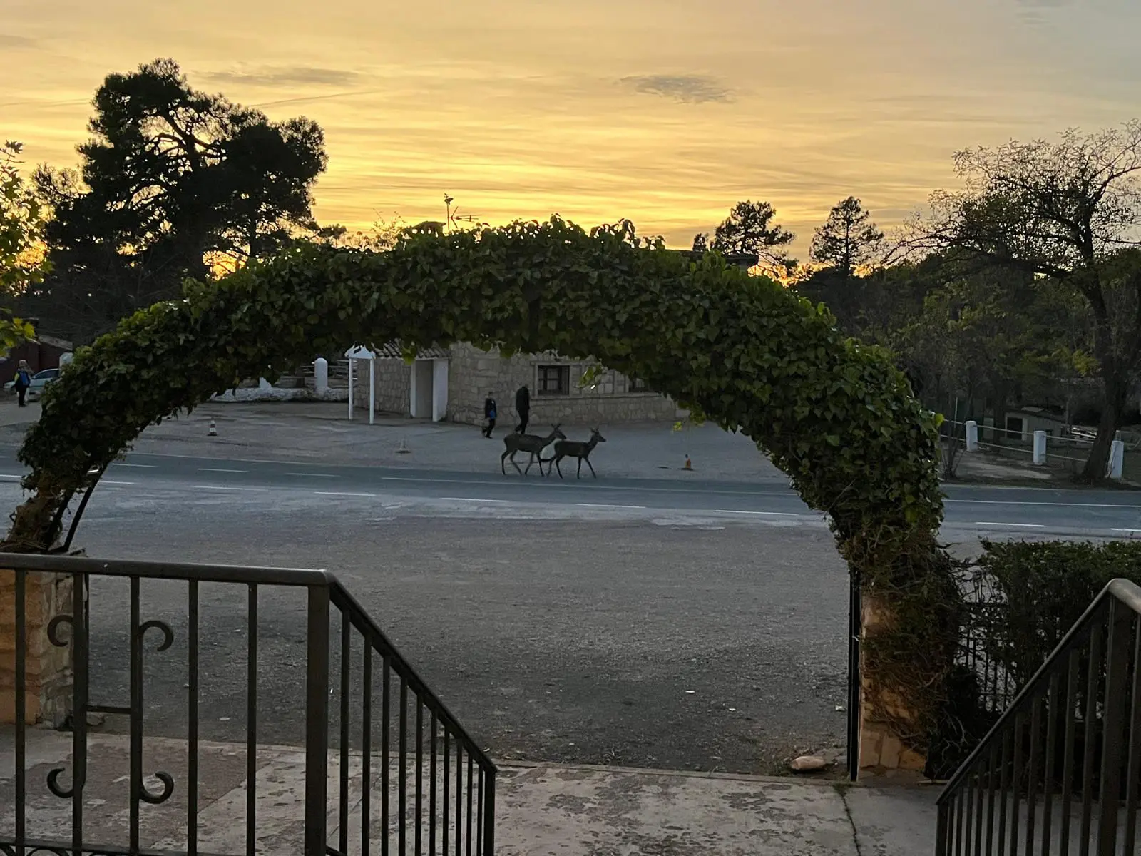 Hostal ciudad encantada - Cuenca