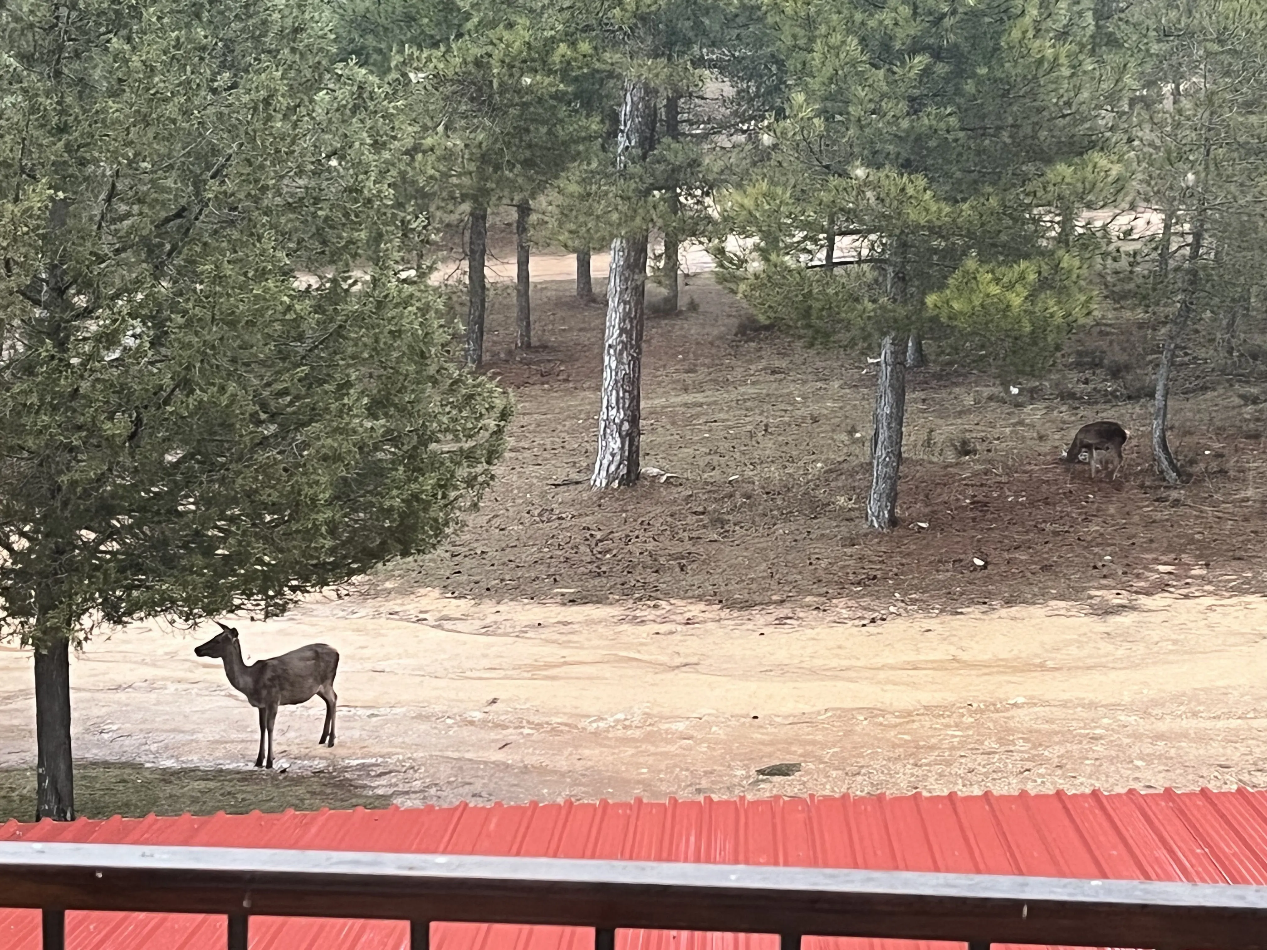 Hostal ciudad encantada - Cuenca